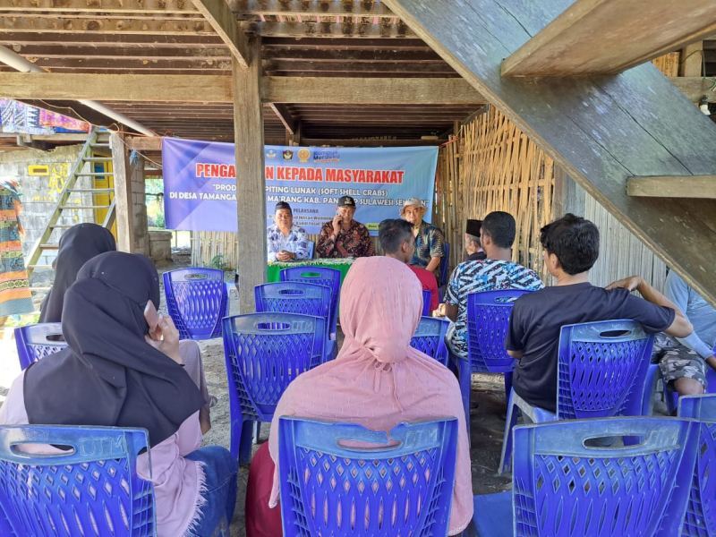 Dosen UMI Gelar PkM Budidaya Produksi Kepiting Lunak di Pangkep
