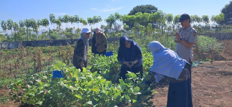 Dosen UMI Lolos Sebagai Penerima Bantuan Insentif KI Tahap 2 Tahun 2025