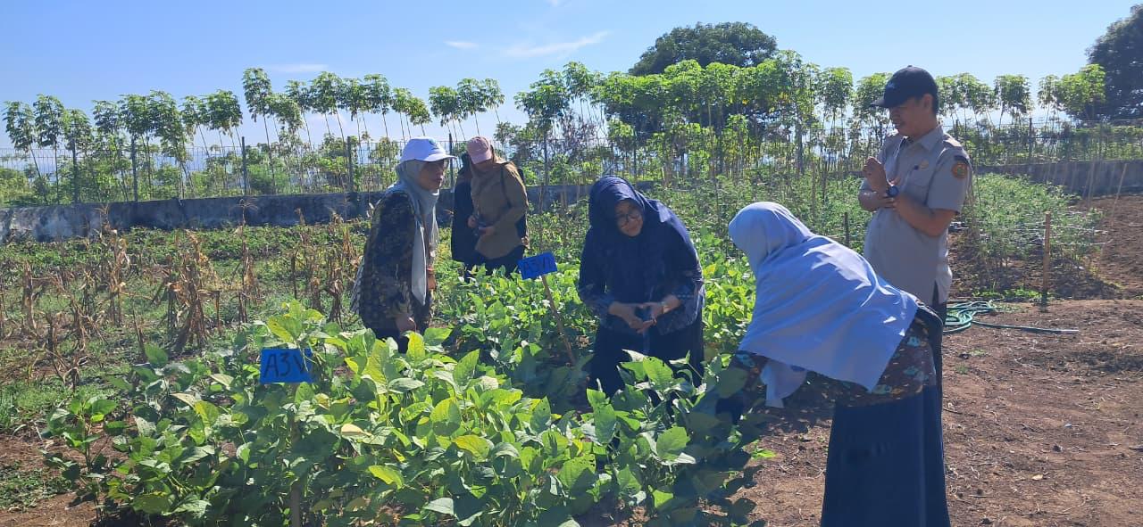 Dosen UMI Lolos Sebagai Penerima Bantuan Insentif KI Tahap 2 Tahun 2025