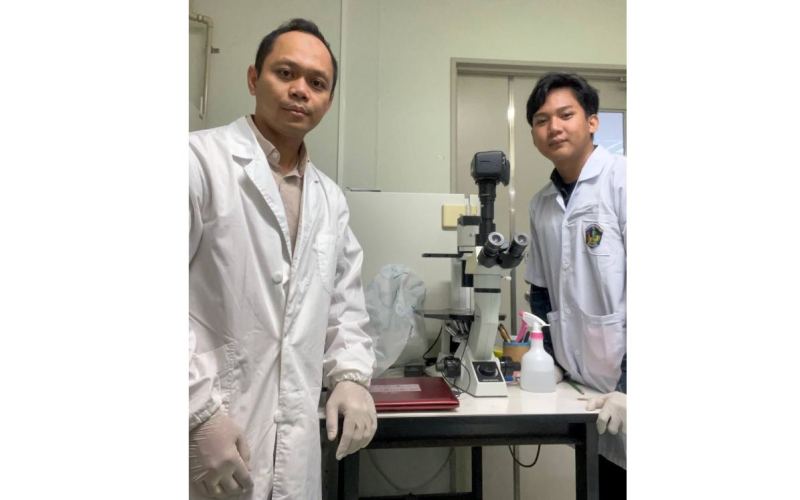 Daun Pala yang Selama Ini Terabaikan, Kini Berpotensi Jadi Obat Rematik Berkat Riset Dosen UMI